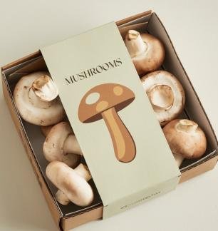 cardboard-mushroom-boxes.jpg