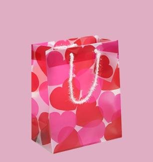 valentine gift bags 1.jpg